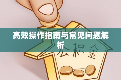 商水高效操作指南与常见问题解析