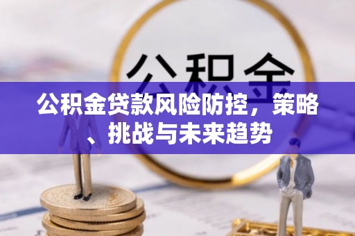 商水公积金贷款风险防控，策略、挑战与未来趋势