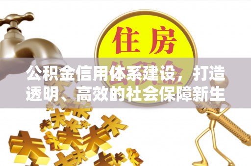 商水公积金信用体系建设，打造透明、高效的社会保障新生态