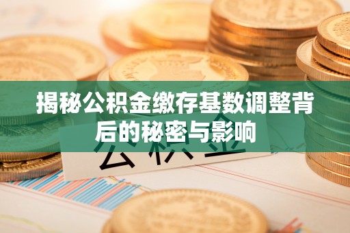 商水揭秘公积金缴存基数调整背后的秘密与影响