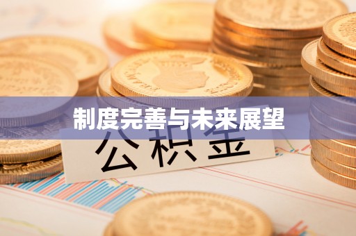 商水制度完善与未来展望