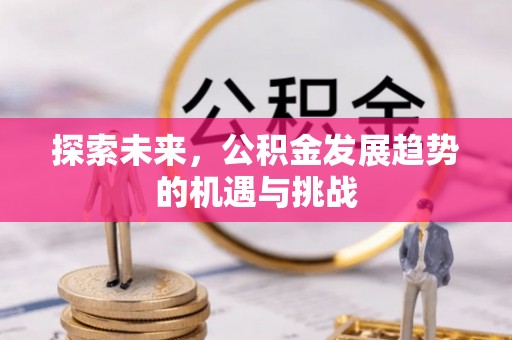 商水探索未来，公积金发展趋势的机遇与挑战