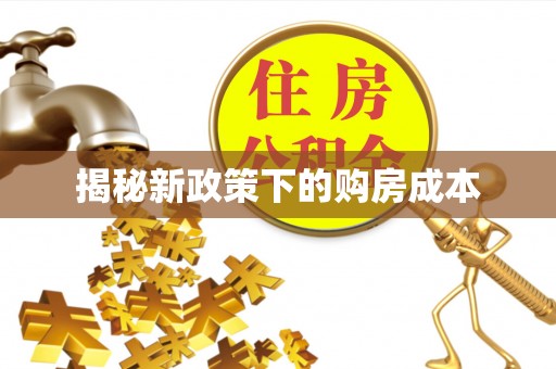商水揭秘新政策下的购房成本