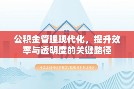 商水公积金管理现代化，提升效率与透明度的关键路径