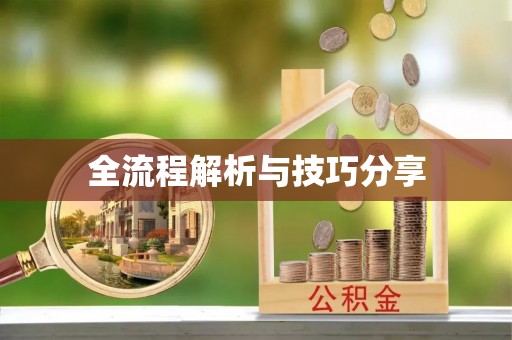 商水全流程解析与技巧分享