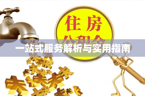 商水一站式服务解析与实用指南
